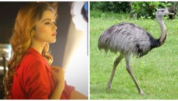 See Aima Baig’s transformation into a human Ostrich