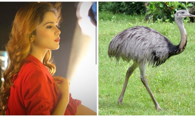 See Aima Baig’s transformation into a human Ostrich