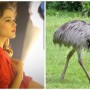See Aima Baig’s transformation into a human Ostrich