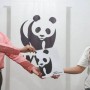 Ushna Shah becomes WWF – Pakistan’s Goodwill Ambassador