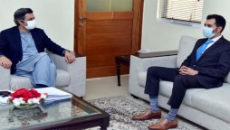 Hammad Azhar Governor SBP