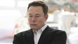 Elon Musk shattered after Tesla's loss