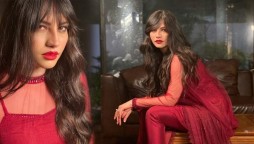 Neelum Muneer oozes elegance, beauty in all-red attire