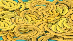 Can you find a snake among these bananas?