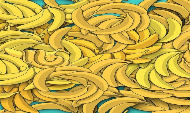 Can you find a snake among these bananas?
