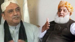 Asif Zardari, Fazlur Rehman Agree To Maintain PDM Alliance