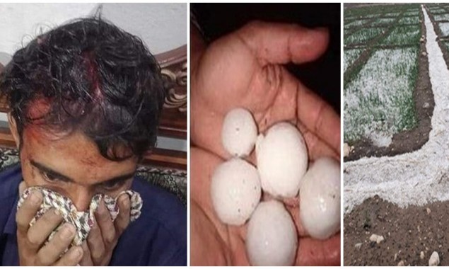 Heavy Rains Hit Large Part Of Punjab, Man Injured By Softball-Sized Hail