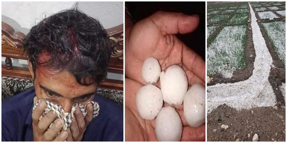 Heavy Rains Hit Large Part Of Punjab, Man Injured By Softball-Sized Hail