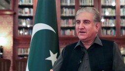 FM Qureshi Says Pakistan Attaches 'Great Importance' To Relations With US