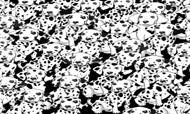 Can you find the different dog among these Dalmatians?