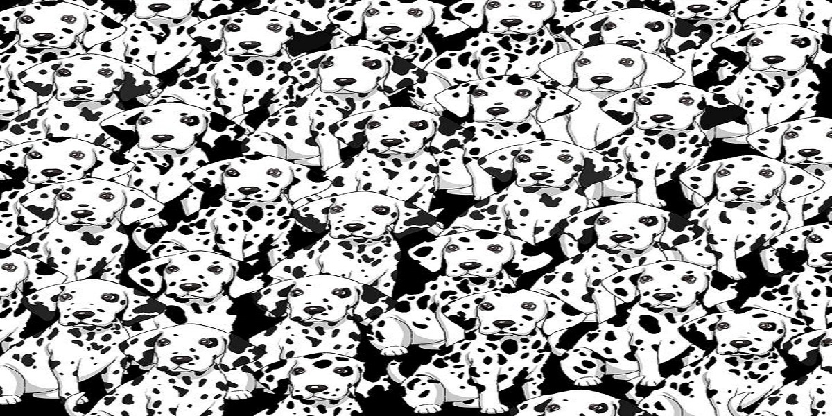 Can you find the different dog among these Dalmatians?
