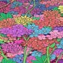 Can you find a heart among these flowers?