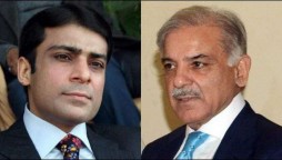 Money laundering case: Shehbaz Sharif, Hamza Shahbaz appear before NAB