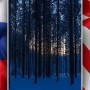 Russia to collaborate with US on Arctic forests: reports