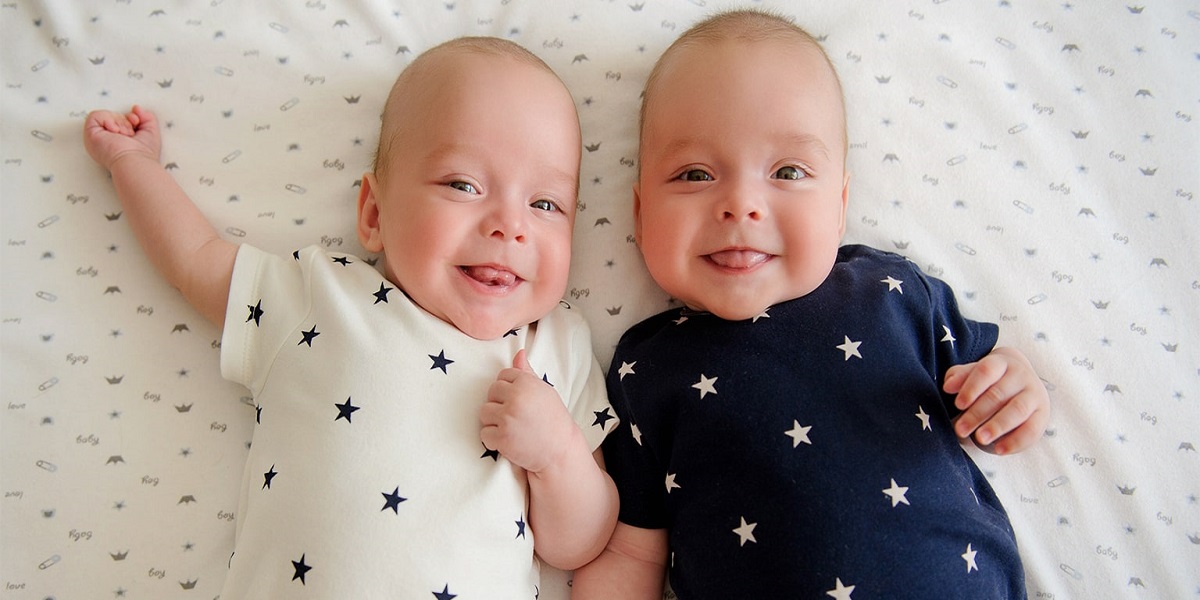 Twins researchers