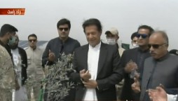 PM launches olive plantation campaign