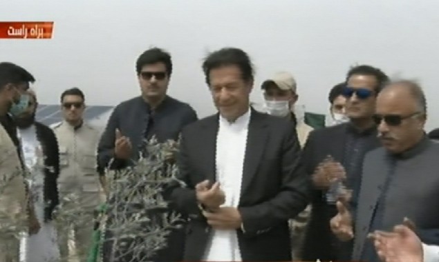 PM launches olive plantation campaign in KP today