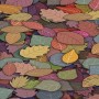 Can you find a toad between these leaves?