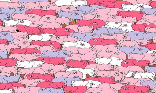 Can you find a heart among these elephants?