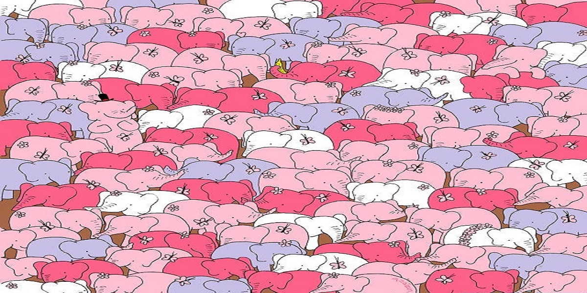 Can you find a heart among these elephants?