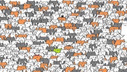 Can you find a bunny among these cats?