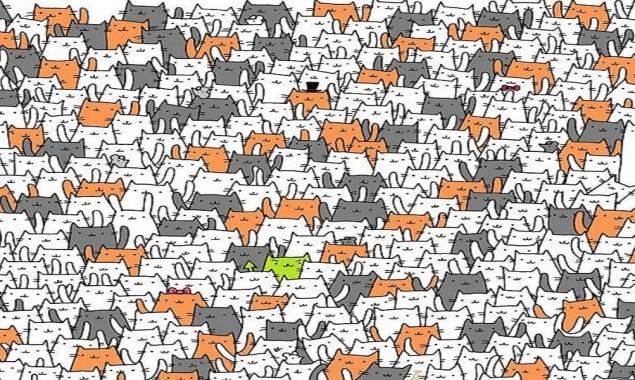 Can you find a bunny among these cats?