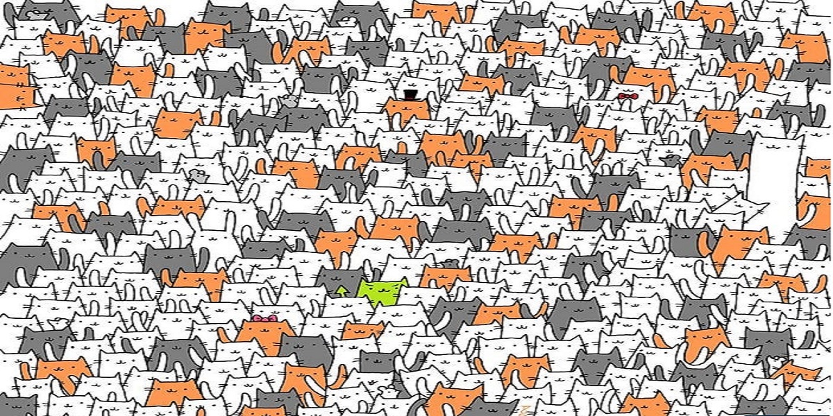 Can you find a bunny among these cats?