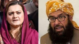 PML-N, JUI-F Terms ANP’s Withdrawal From PDM “A blatant mistake”