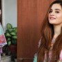 Aiman Khan Pays Homage to timeless grace, elegance In These Snaps