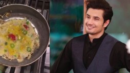 Ali Zafar Omelette Recipe