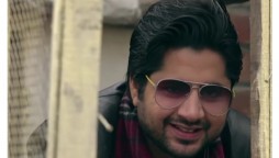 Imran Ashraf's famous roles