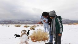 Incredible views after Saudi Arabia receives heavy snowfall