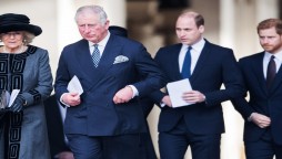 Queen Elizabeth is standing with Charles, William but against Harry, Meghan