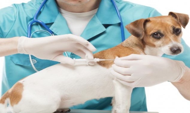 Russian federation registers world’s first covid-19 vaccine for animals