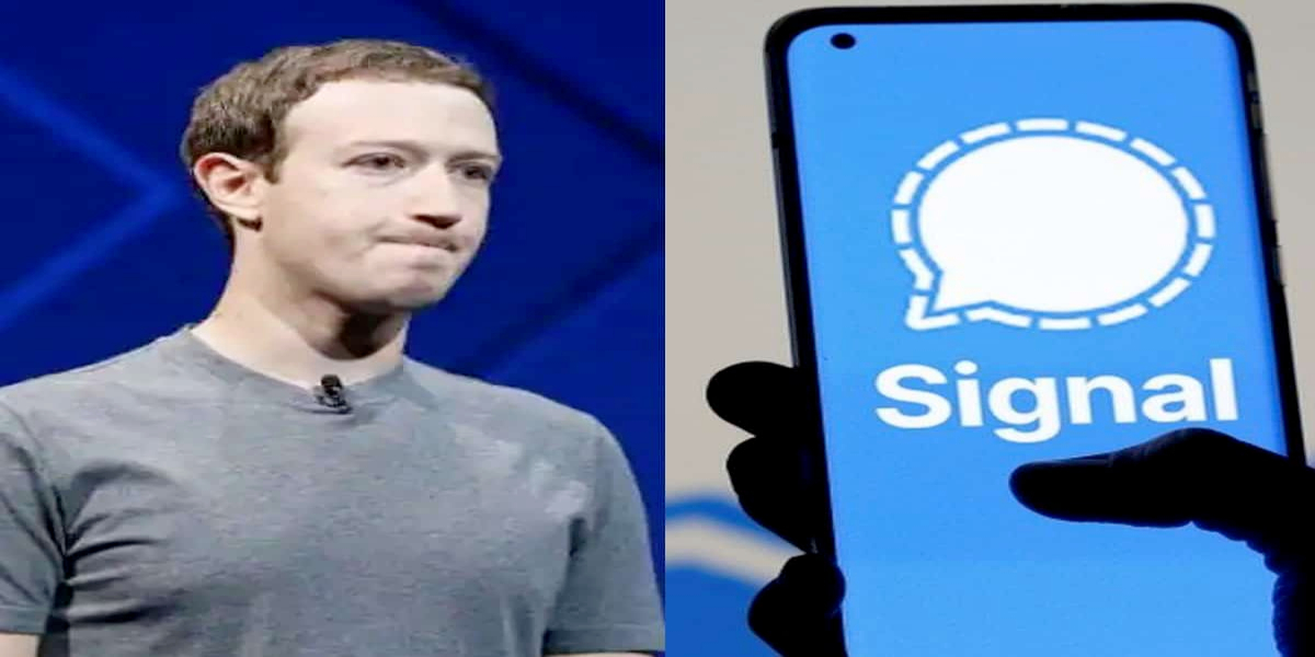 fb