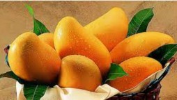 Benefits of eating Mangoes for healthy digestion and to frightening for skin problems