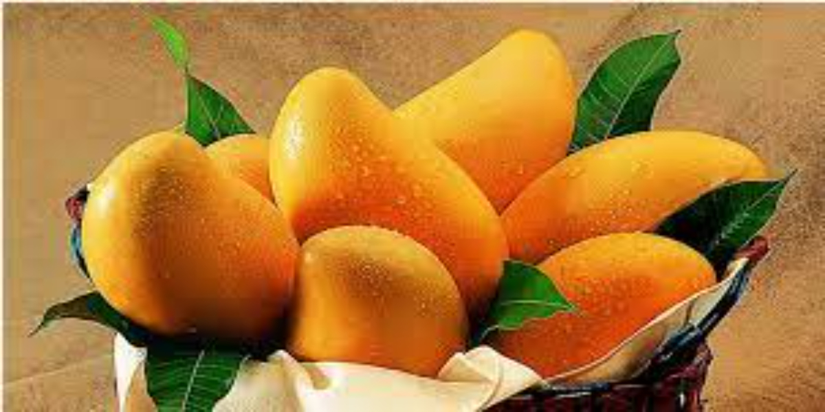 Benefits of eating Mangoes for healthy digestion and to frightening for skin problems