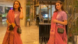 Hira Mani Saree