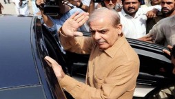 Shehbaz Sharif granted bail in money laundering case