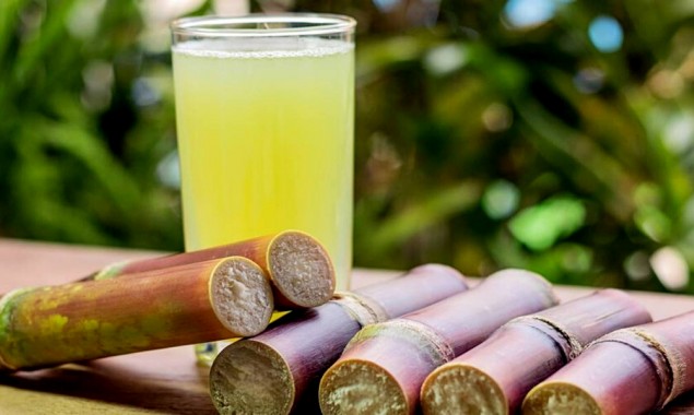 Sugarcane