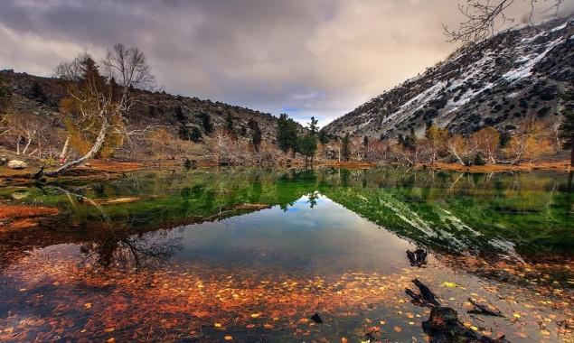 COVID-19: Government  announces ban on tourism, travel during Eid holidays