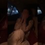 Video: Zarnish Khan Dances In Her Car; Fun Or Publicity Stunt?