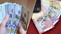 Dollar Rate In Kuwaiti Dinar