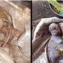 Baby goat born with human-like face being worshiped in India