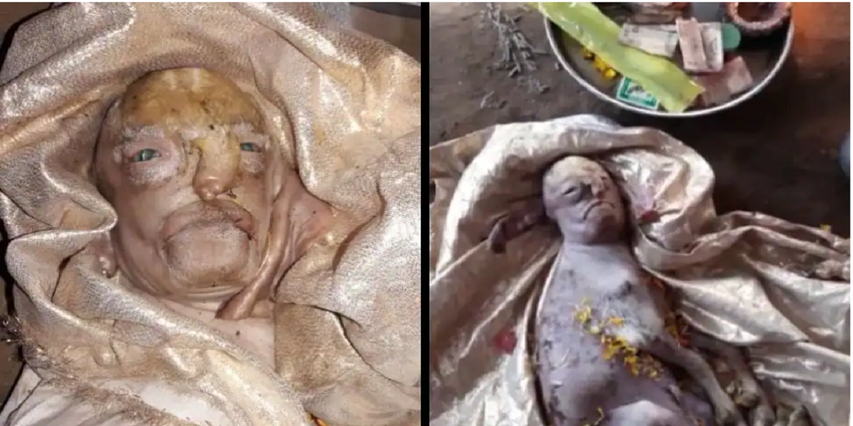 Baby goat born with human-like face being worshiped in India