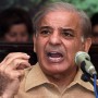 PML-N leader Shahbaz Sharif accused government for revealing “fake” numbers in the budget. 