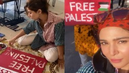 My country, my people, stand with Palestine, Ayesha Omar