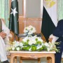 PM Khan Discusses Palestine Issue With The Egyptian President