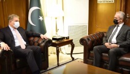 FM, Palestinian Ambassador to Pakistan discuss Israeli aggression in Gaza