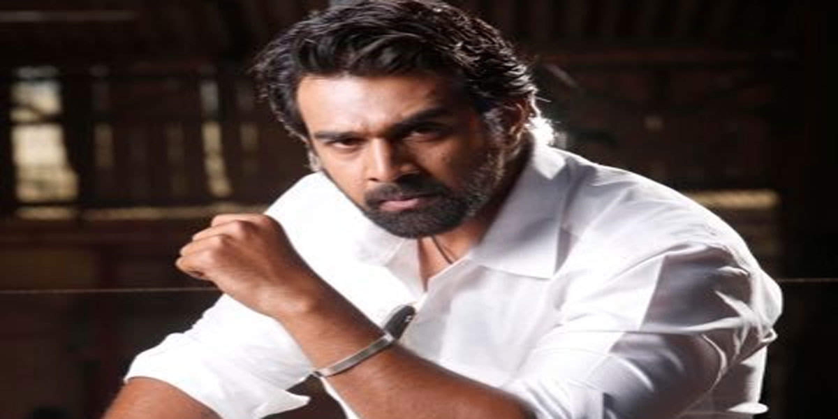 Chiranjeevi Sarja